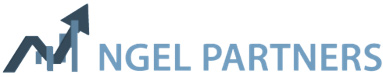 NGEL PARTNERS